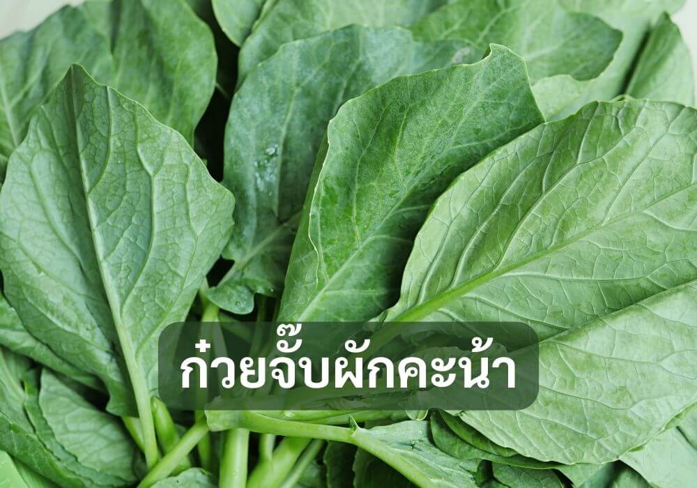 ก๋วยจั๊บผักคะน้า